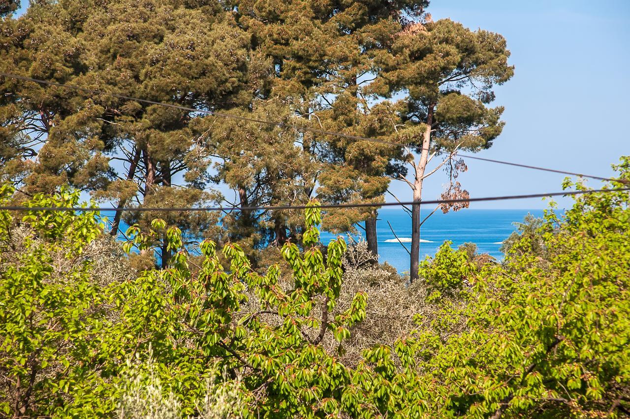 Apartments Carmelo Rovinj Exterior photo